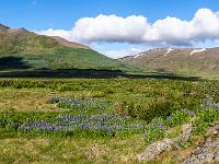 Island - Pano von Skagaströnd zum Spákonufellsborg und Arbakkafjall